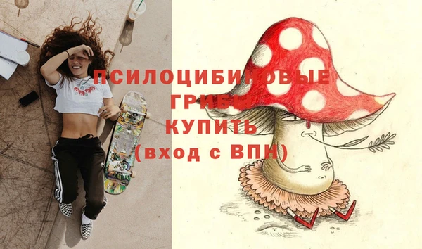 ГАЛЛЮЦИНОГЕННЫЕ ГРИБЫ Абинск