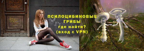 ГАЛЛЮЦИНОГЕННЫЕ ГРИБЫ Абинск