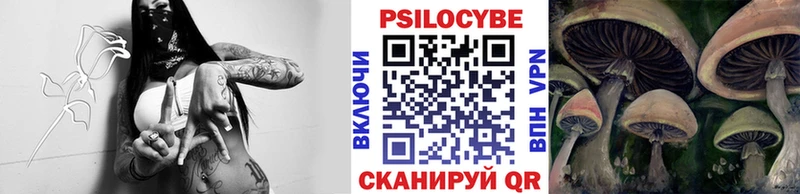 kraken зеркало Александровск нарко площадка наркотические препараты Галлюциногенные грибы GOLDEN TEACHER